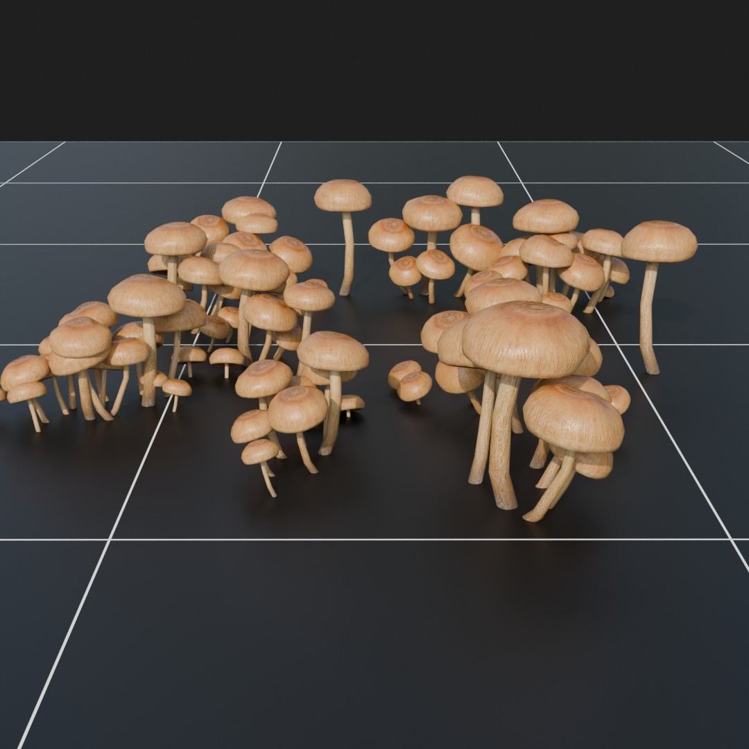 Forest Floor Mushroom Collection 3